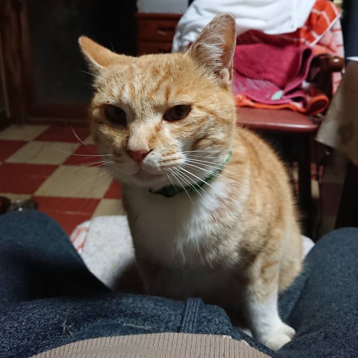 94dceebc ceba 4cac b2a4 8ffa9e2dccbc 1585770604581