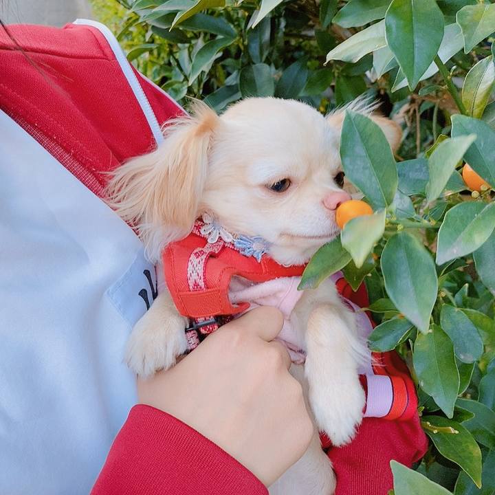 94dd07ac 6208 496a 949d 5649969f51da 1619775492892