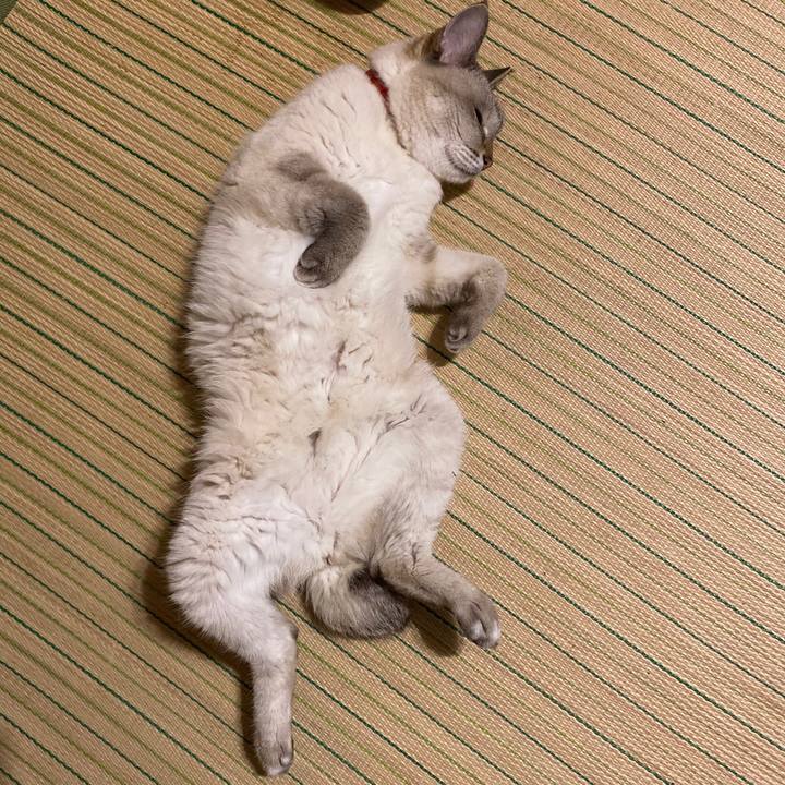 94dd11b6 98f2 4368 8121 ce405a7433d1 1595415091898