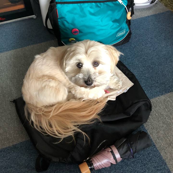 94dd3329 a283 4478 a319 ba04a10a4237 1511340125283