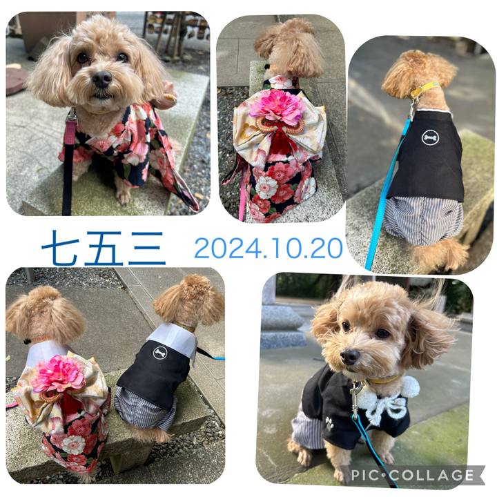 94dd3680 e1b3 4f98 a419 0afc2095c53a 1729442274028