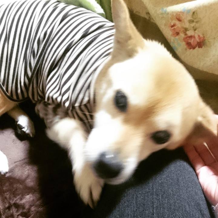 94dd4b27 da23 48e1 bfe5 04cf1f76ee7d 1598616616888