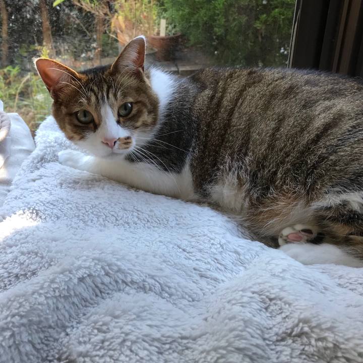 94dd6be2 45c7 42a3 ae81 9541c8dbcf7a 1509941297872