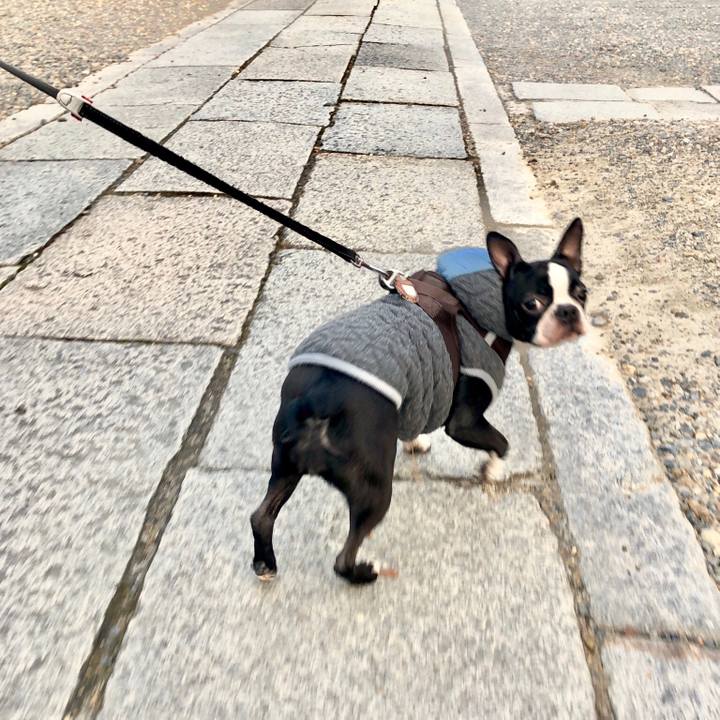 94dd918d 0db3 4ca3 b3b1 83f15c2d6a0b 1513929189872