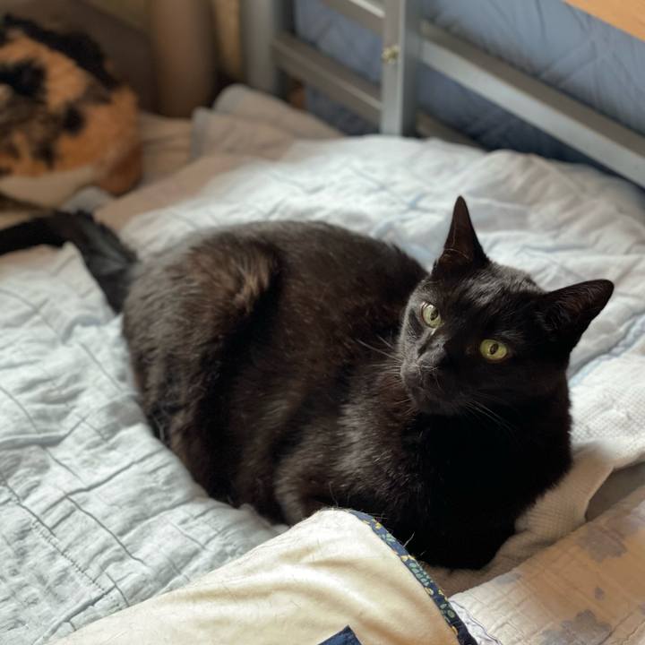 94ddc158 8a41 48b8 ae9a 40fc2819b5ec 1655087334927