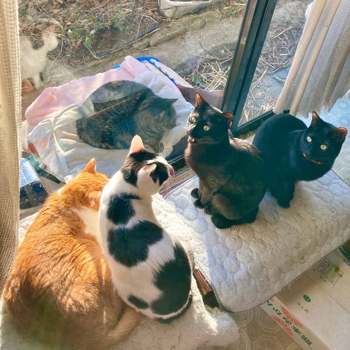 94de0462 7376 429a 80c4 bccdfda71885 1676875599321