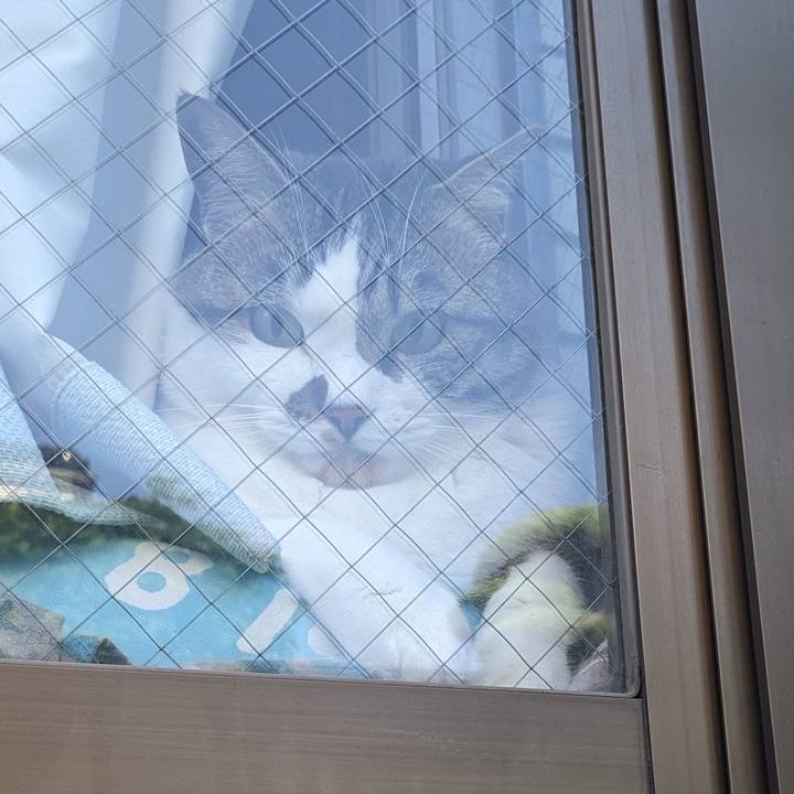 94de1fe8 941d 4c19 adf8 b85523bfb0a8 1715898193046