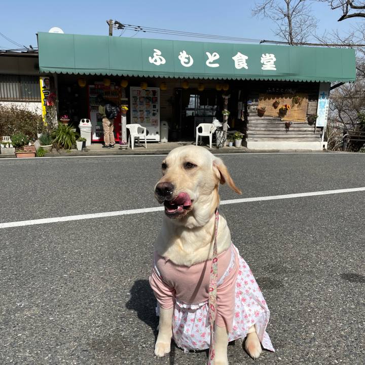 94de2e14 f4f7 47d5 be56 94291cbabecd 1646449012620