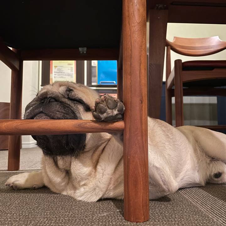 94de4a65 8a03 4d44 a0bf 0d7d5edc040f 1669210361131