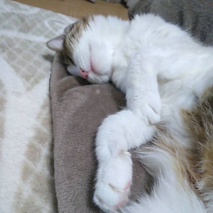 94de653e 853f 4e04 8a58 1c35ffd96e2d 1550908344551