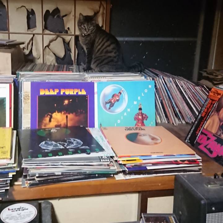 94de73ac 948d 4acf 8818 6764688519a7 1649766142580