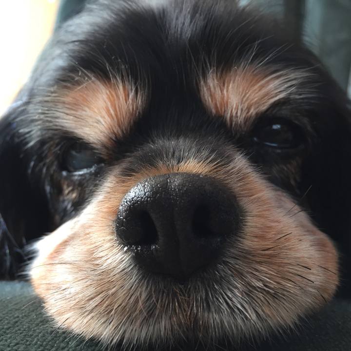 94de74b4 c4a8 462f a09a bda913de50d8 1569595466799