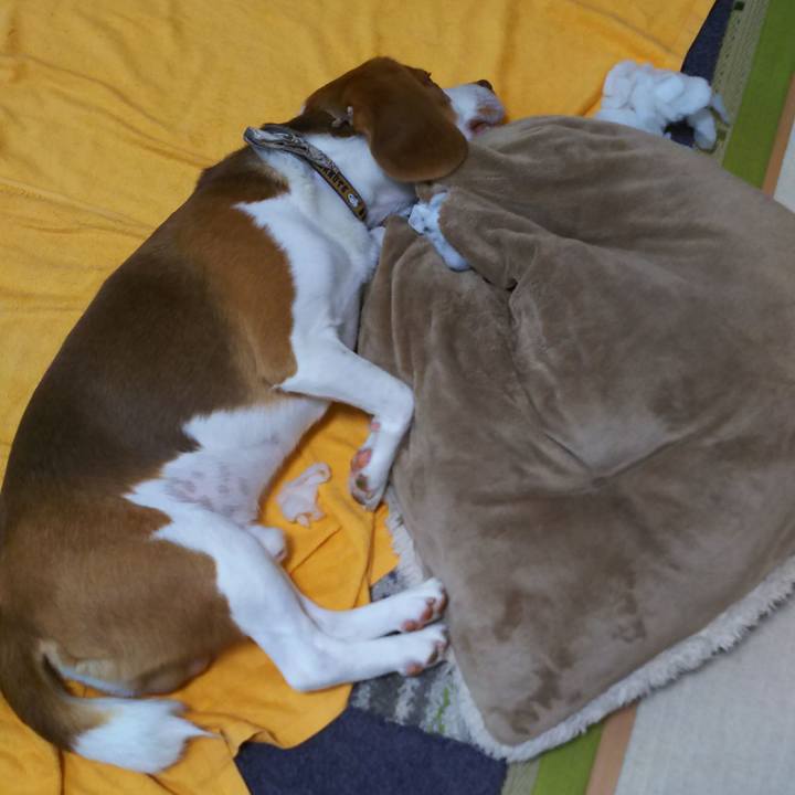 94deb4fa c966 4f9a 82db e1fa66890838 1593923477499