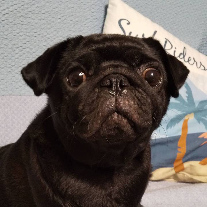 94dec8a2 0773 4acd acd0 713fc47c8998 1628340958755