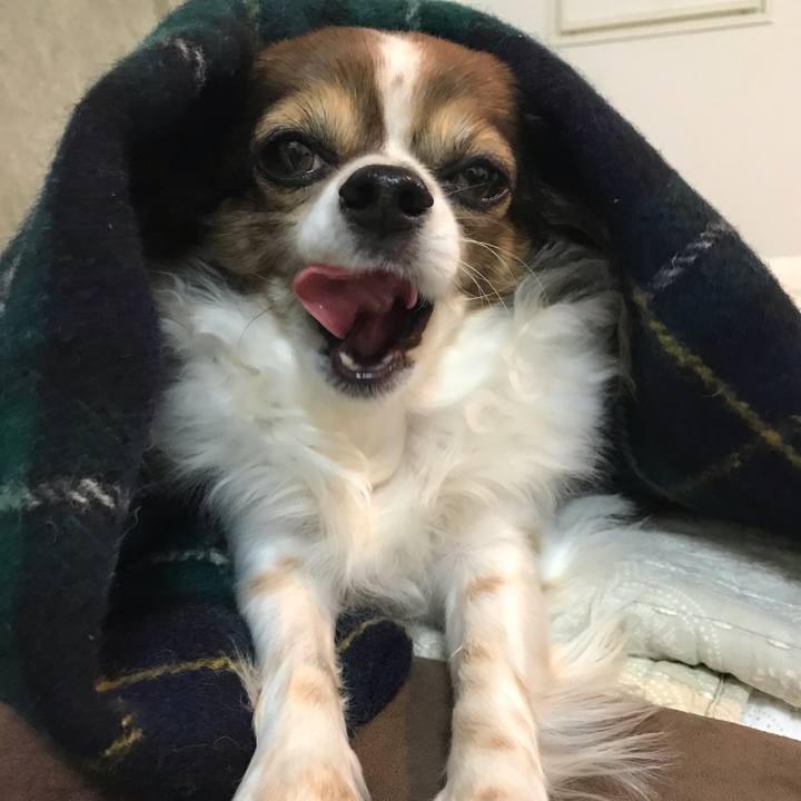 94dedae0 a1f3 45aa 831c 10a52a81be73 1574330698927