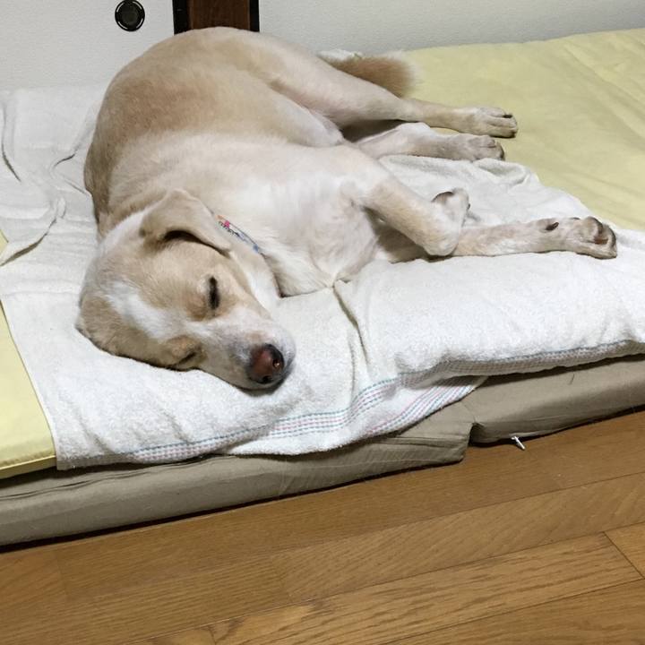 94df5c63 34c6 46fb adac d7a57a9a4f5e 1541416948096