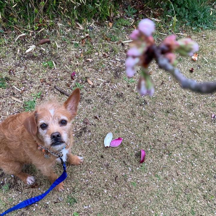 94df7957 5eae 4d6a 8a14 b52d37ba925b 1648289657562