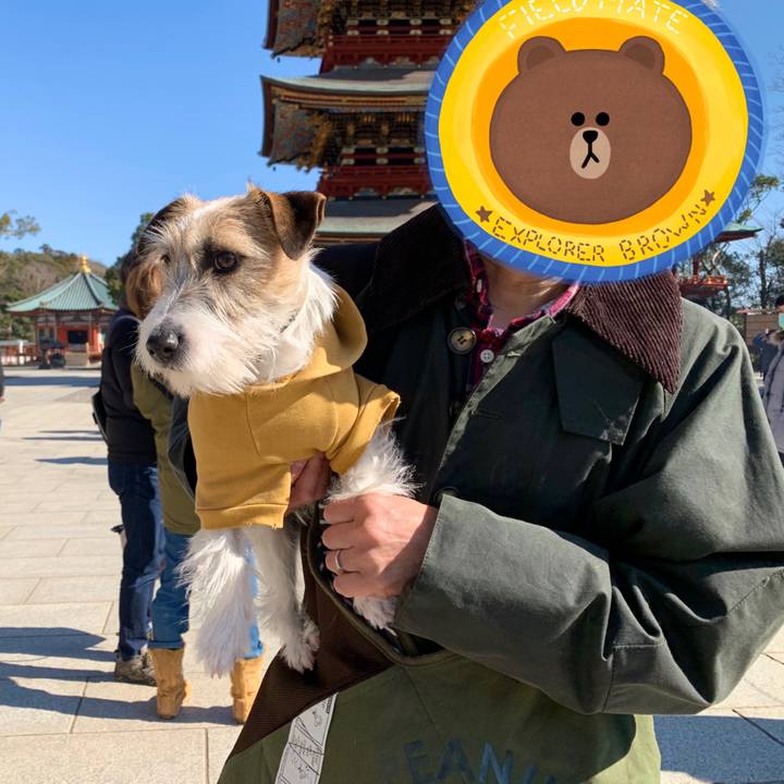 94dfa923 8145 4aab 9b9a 4b3888763129 1581225155011