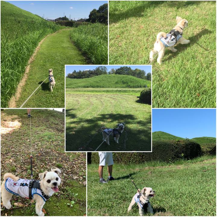 94dfbdac 4749 42a3 bab0 c583b6314b39 1568537617755