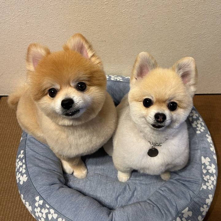 94dfbef2 dcab 4b9c 999b f31d97d3fede 1757940126997