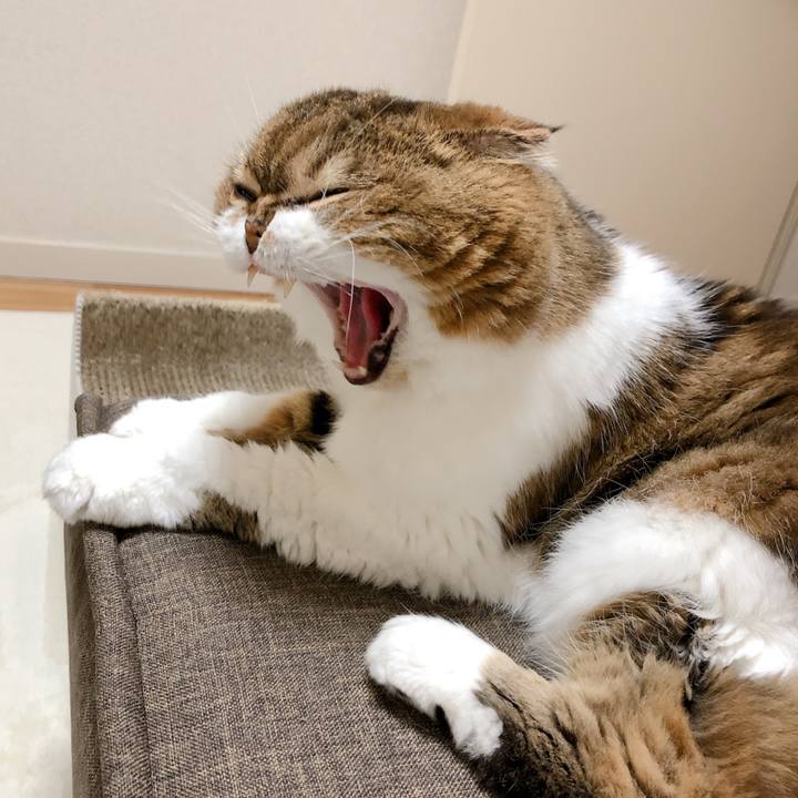 94dfcd18 dd44 4268 aad1 2a11bae1d291 1599135914322