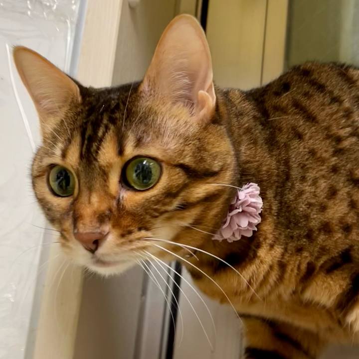 94dfe509 0e1d 48a6 80de 4e47625ae378 1640654164050