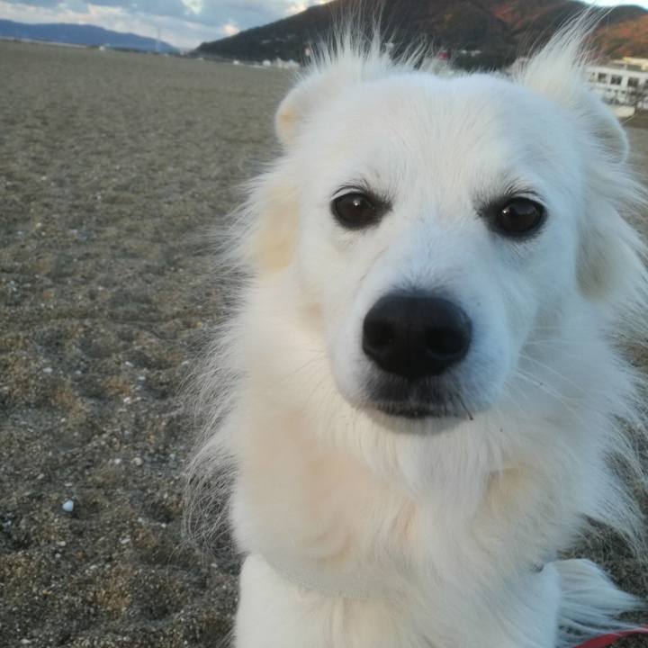 94dff5ed 1f55 4017 b107 f7fbf28439ce 1512431179157