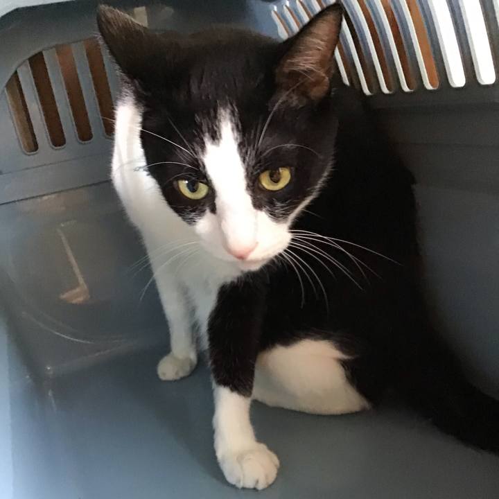 94dffcb7 e41a 4ffc 8f23 149ec79f268c 1756607918131