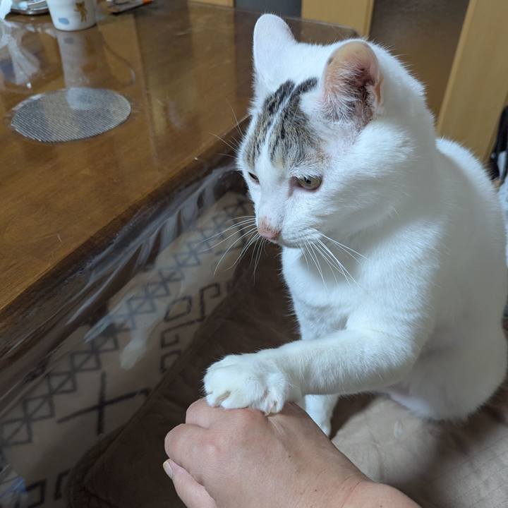 94dffcfe d7b1 4aed b33a 407c51d27d0d 1734487797510