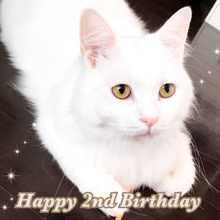 94e010e7 d4e8 401f 97d2 77d2dab1ed7a 1562859891121