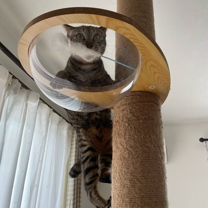 94e037b9 cdc2 487d ac14 4f0b61691e69 1658107319951