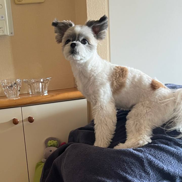 94e0539e a3e6 4294 9633 d06134ad4fee 1760314899450