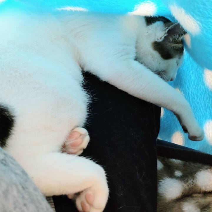 94e05d40 e19d 4e09 ac7f 6c991c4e8eb2 1651636259690