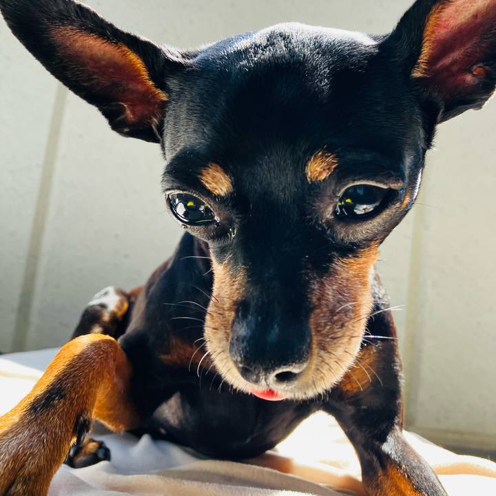 94e08180 3bc5 459a 93f9 ccad587bb35a 1755300957843