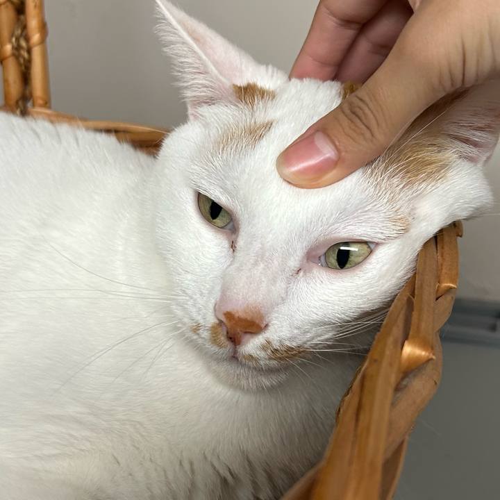 94e0d850 8847 408d a18e bbf233eed923 1670559702926