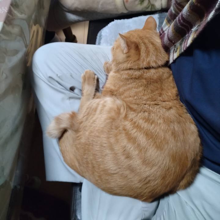 94e14754 2720 4cb6 bdc7 35b2597a5a48 1666941296332