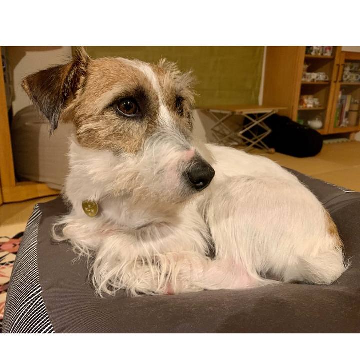 94e16c9e 41cf 493d 8a15 4cf89e6ab781 1606643644694