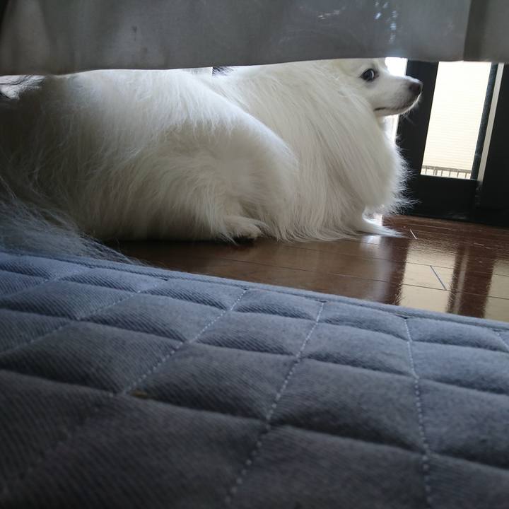 94e17a83 6e98 4033 85f0 c4656e7c4cdb 1618204580900