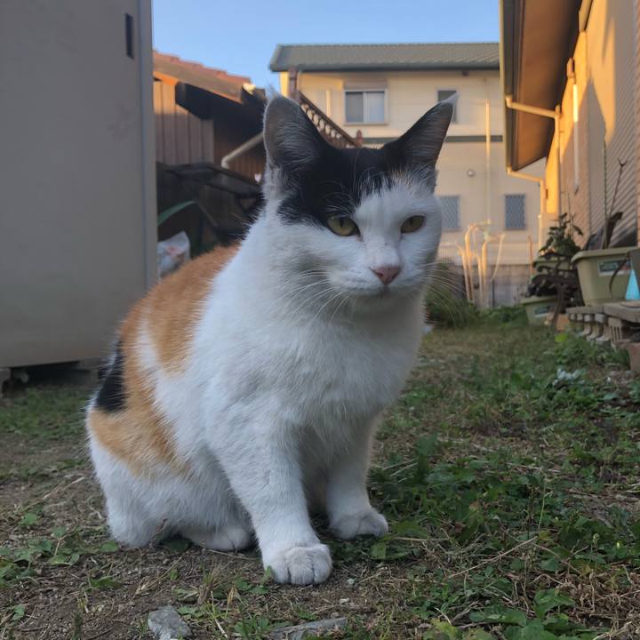 94e18ca7 fcaf 40e6 aad0 afc52068b85a 1604874725084