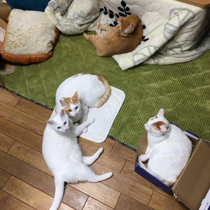 94e1c654 d175 42aa 94c0 5a23b79790e4 1544263886234