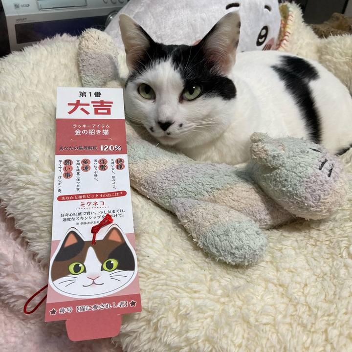 94e1cde7 0104 4988 9288 4127e5253afb 1767484219287