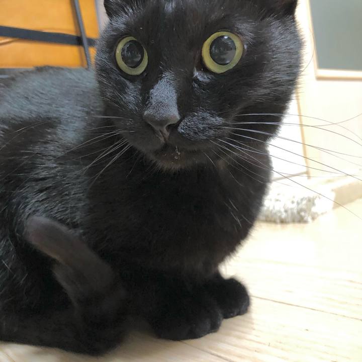 94e1f248 726a 41f5 bf27 eef2b763bebe 1617442037704