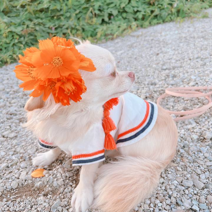 94e20d23 6488 4a64 aeac 57d6e2a2a293 1662975893669