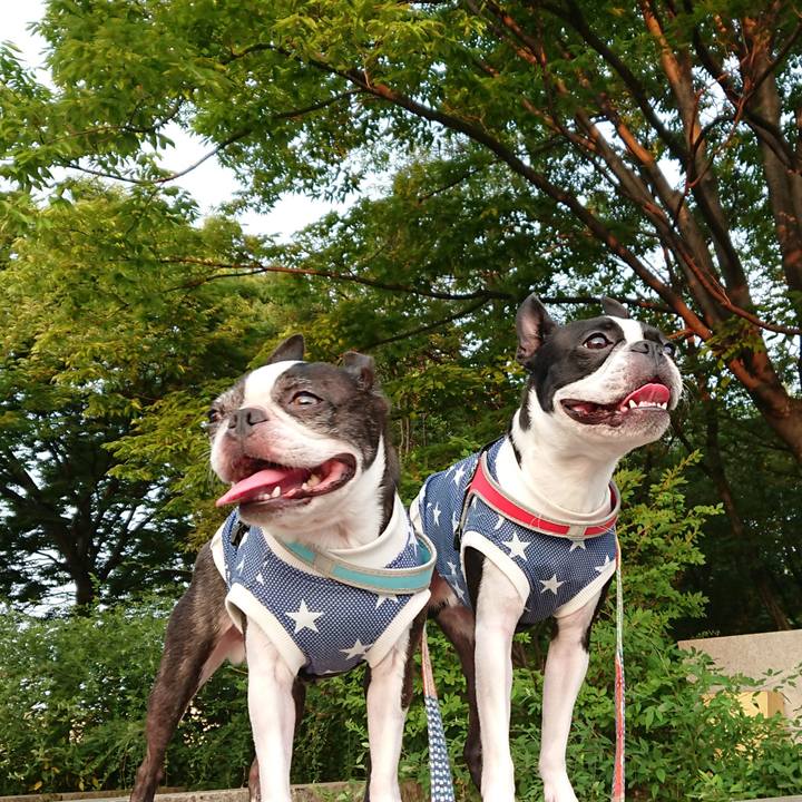 94e23cc5 e198 424c 842f b9e322e128d8 1532387195460