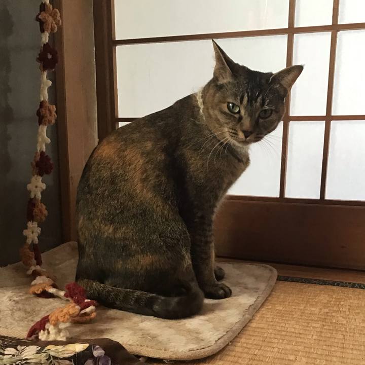 94e248a0 63b4 48e7 8d1d 69700206b2f6 1649119930721