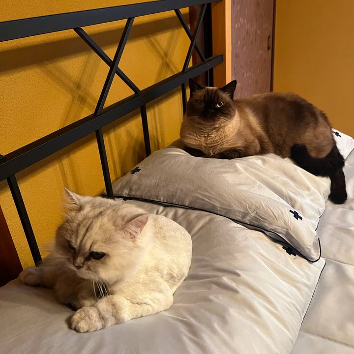 94e2930c f675 4cb7 86d4 f5944144afc0 1662691568503