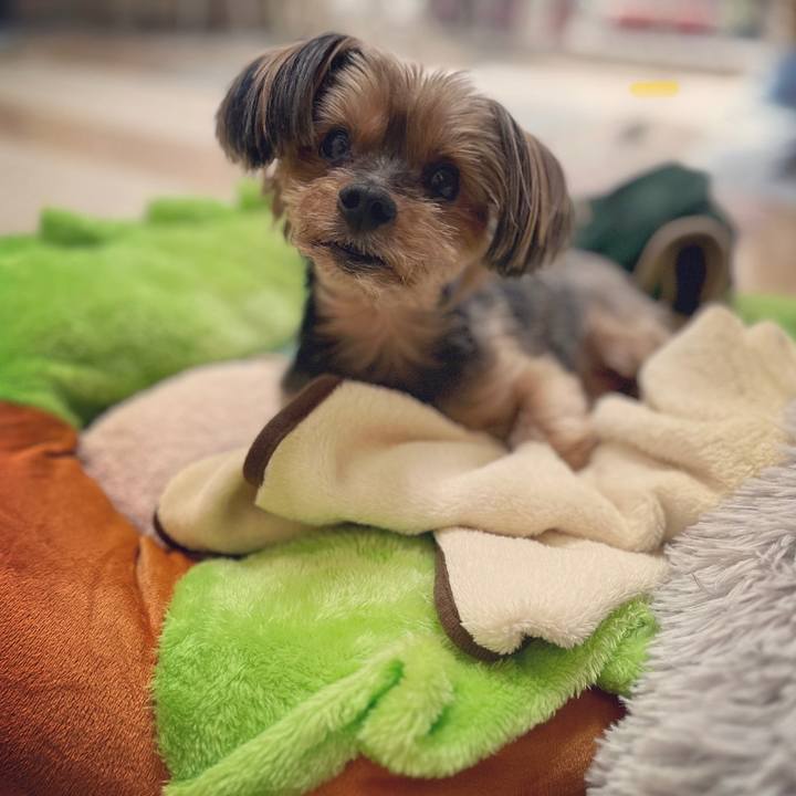 94e2970f c524 4bda 96b4 996cc3dd2a49 1677978157556