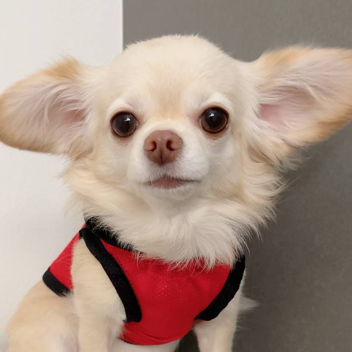 94e2b235 ae18 4499 a365 c1b8a4af3ef2 1728476486863