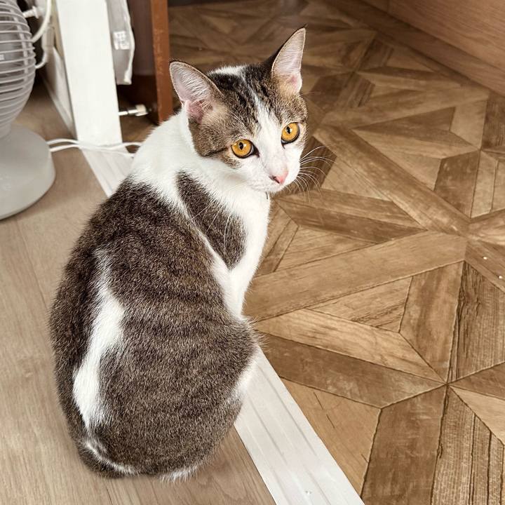 94e2d398 a0c4 46c0 bd26 a3122b4cc83c 1758155324164