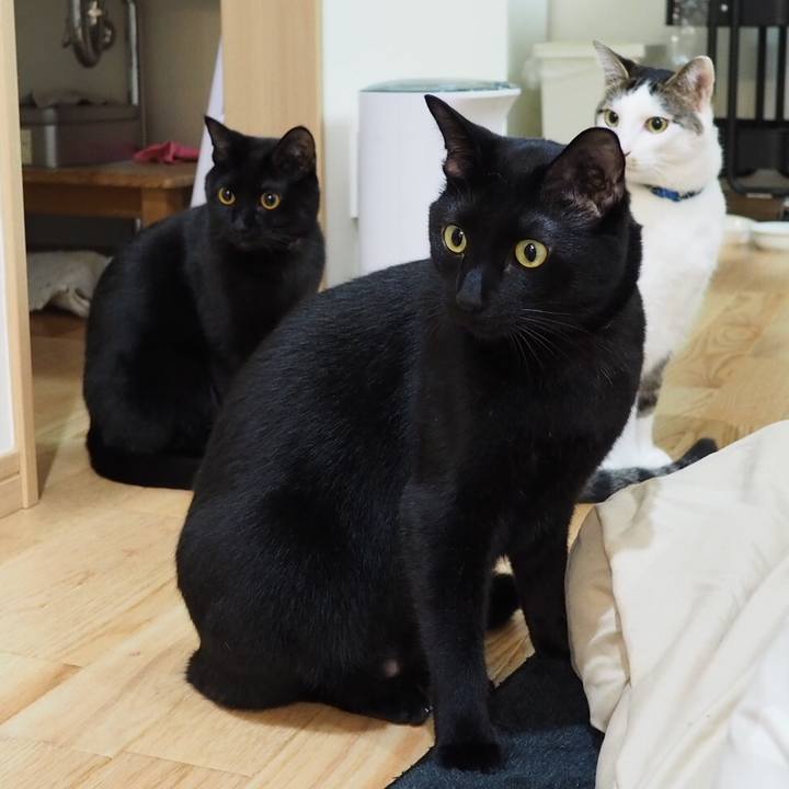 94e2d6ea 15c6 4995 b60d 5c0b5ba6c504 1545381176303